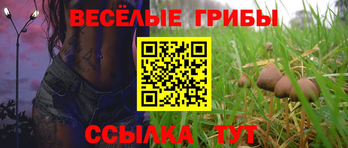 Псилоцибиновые грибы ЛСД  Вход с VPN  Ликино-Дулёво 
